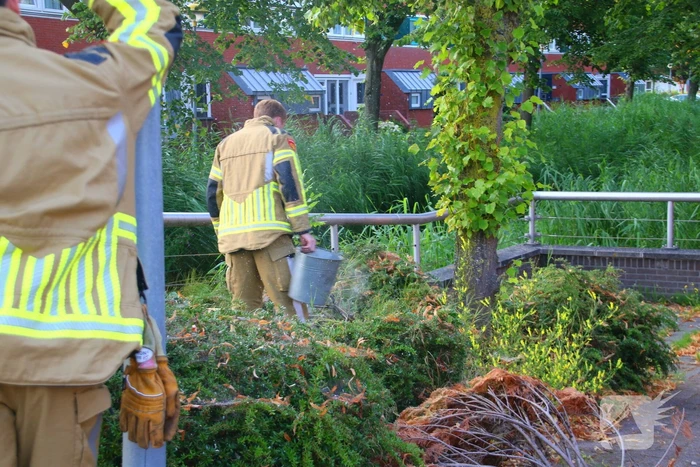 brand jol 27 lelystad