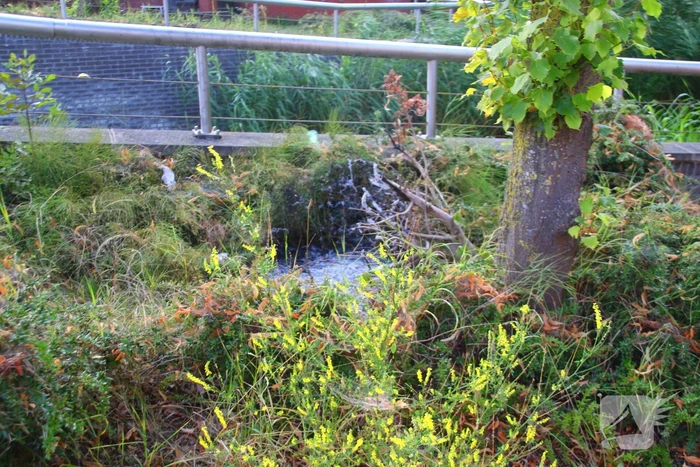 Brandweer dooft buitenbrand met emmer water