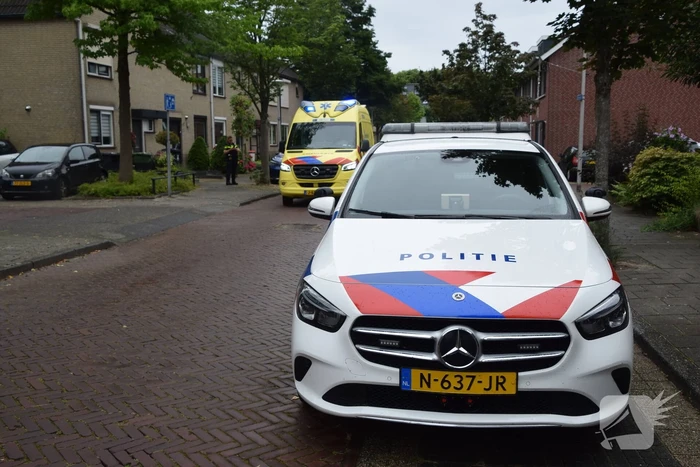nieuws uilehorst honselersdijk