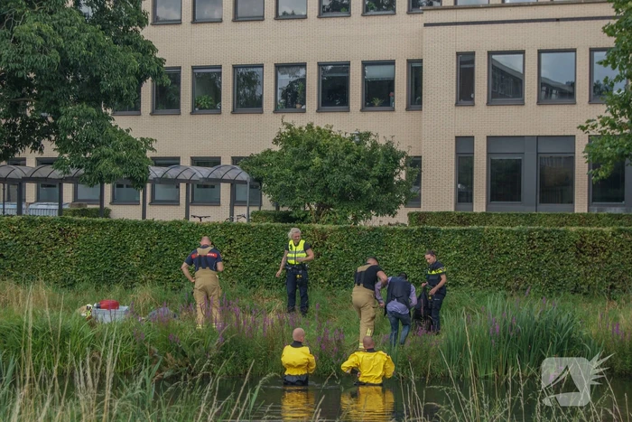 Hulpdiensten druk met persoon die te water was geraakt