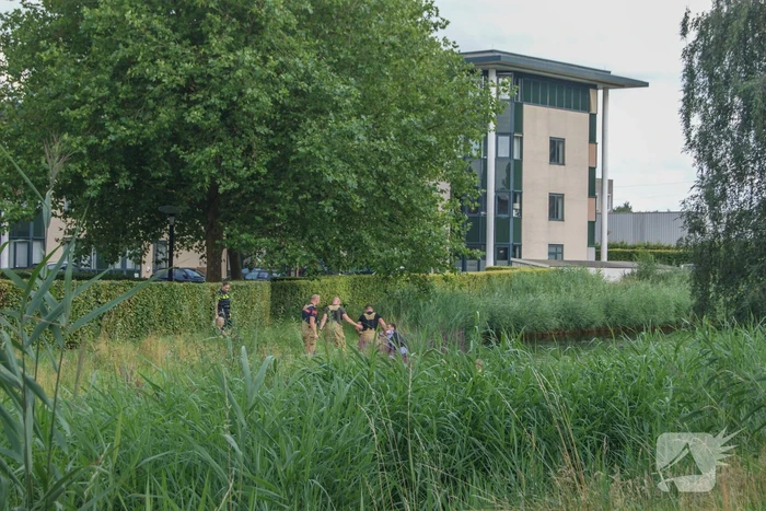 Hulpdiensten druk met persoon die te water was geraakt