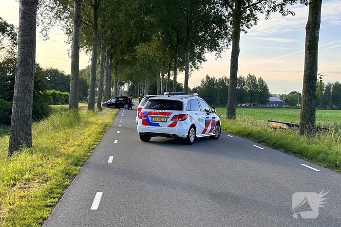 Bestuurder valt in slaap en botst tegen boom