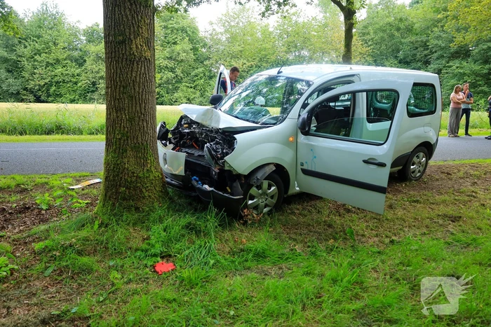 Kleine bestelbus botst tegen boom