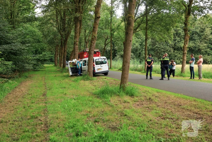 Kleine bestelbus botst tegen boom