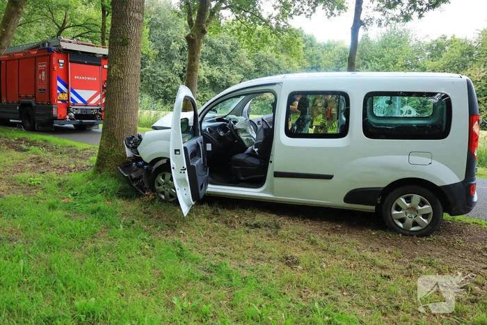 Kleine bestelbus botst tegen boom