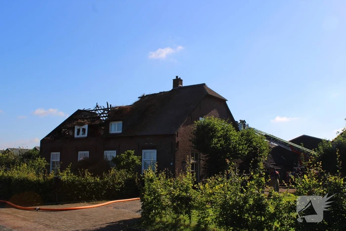 Veel schade na rietendakbrand bij geitenboerderij