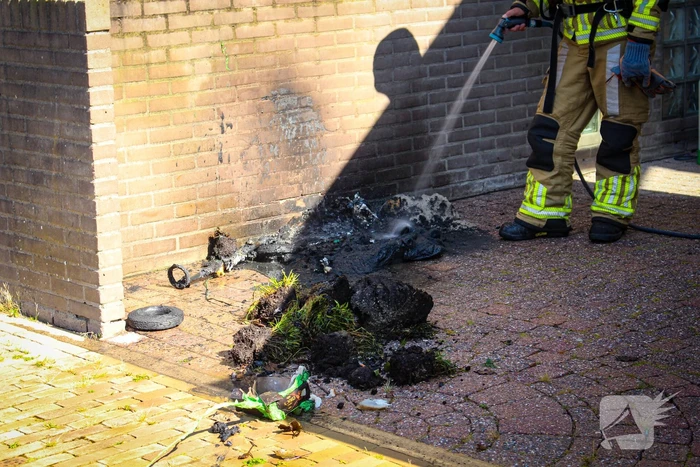 brand honingklaver valkenburg
