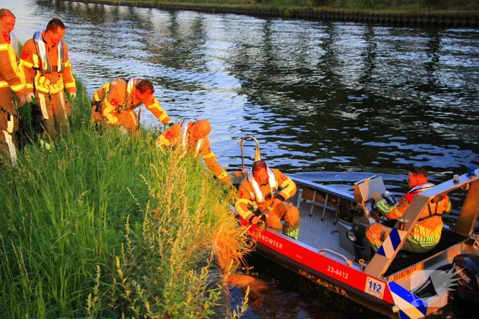 Brandweer haalt overleden ree uit het water