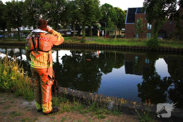 Brandweer haalt overleden ree uit het water