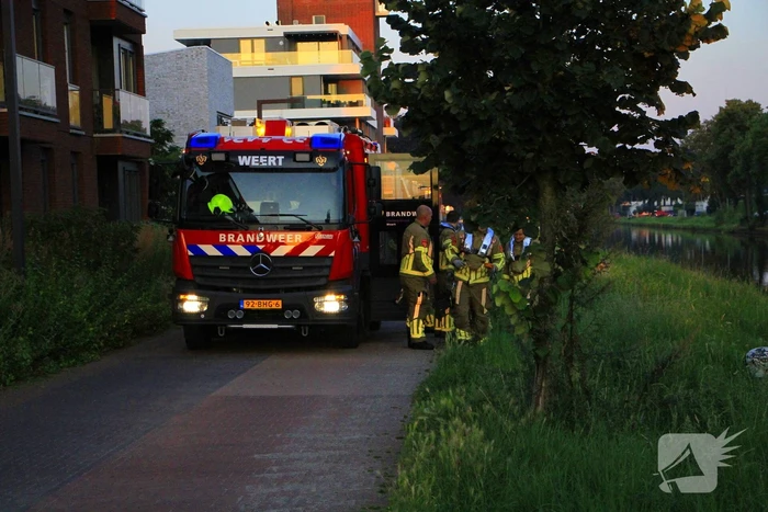 Brandweer haalt overleden ree uit het water