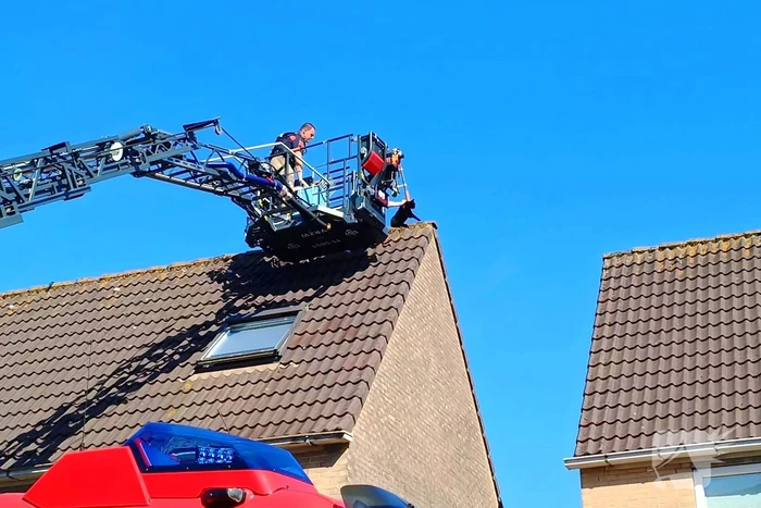 Brandweer haalt kat van dak