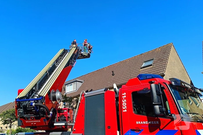 Brandweer haalt kat van dak