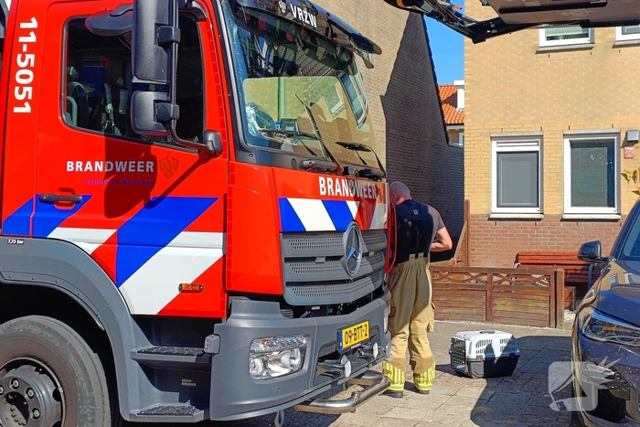 Brandweer haalt kat van dak