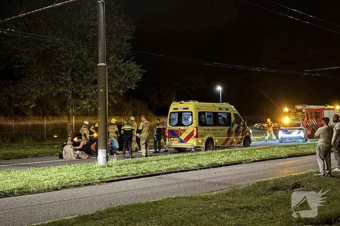 Automobilist raakt van weg en botst tegen boom