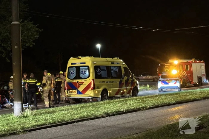Automobilist raakt van weg en botst tegen boom