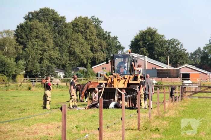 Brandweer schiet paard in problemen te hulp