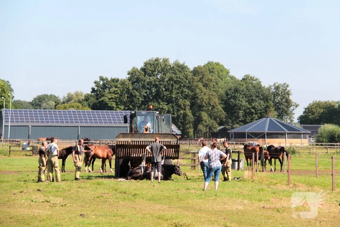 nieuws lage veldweg lunteren