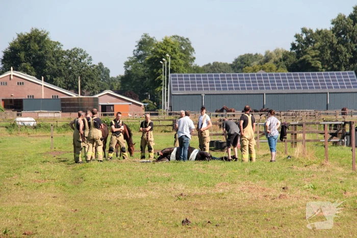 Brandweer schiet paard in problemen te hulp