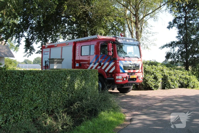 Brandweer schiet paard in problemen te hulp