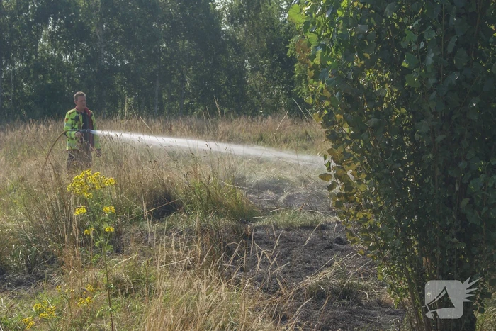 Brandweer blust bosschage brand