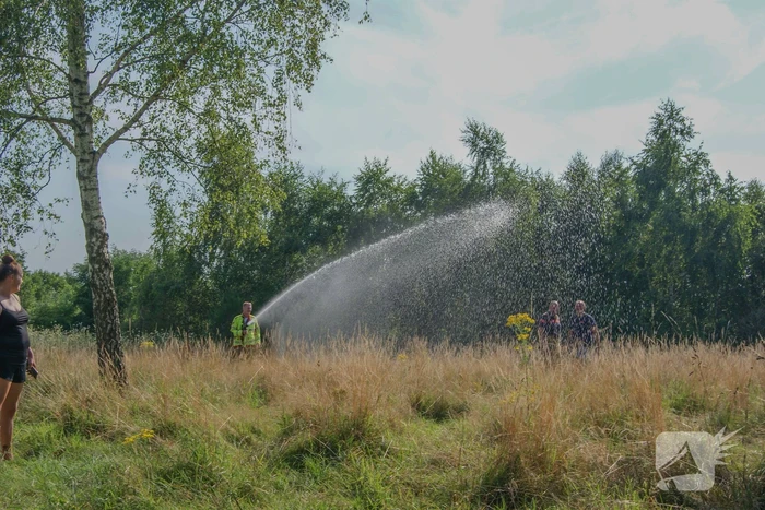 Brandweer blust bosschage brand