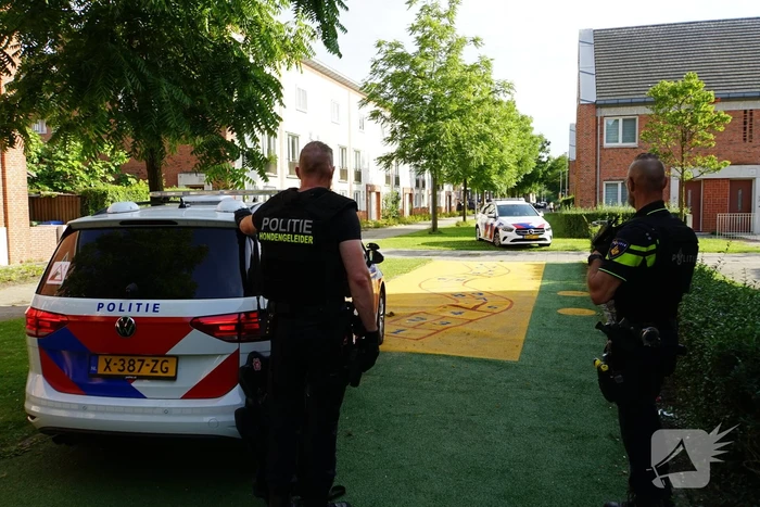 Agenten in kogelwerende vesten en Dienst Speciale Interventies bij inval in woning