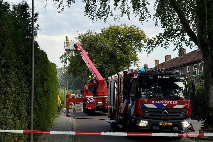 brand van hogendorpstraat dieren
