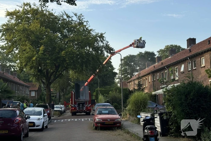 Brandweer blust middelbrand in woning