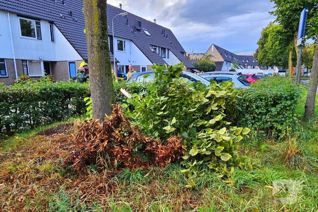 Suze Robertsonstraat 112 nieuws Ede 