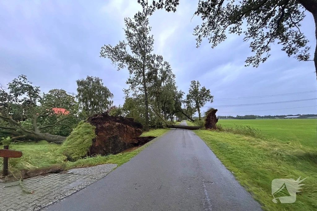 Woestendijk Nieuws Witharen 