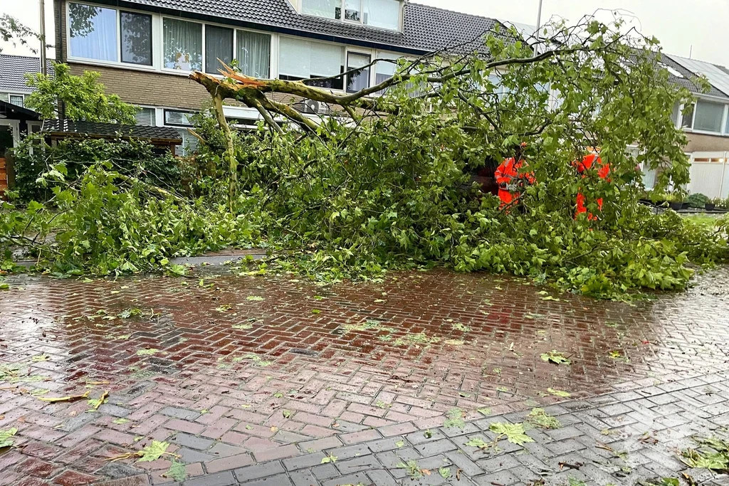Randweg 112 melding Meppel 