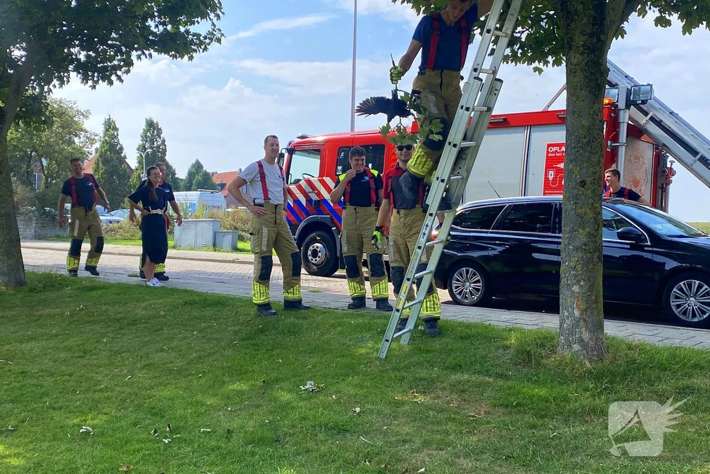 Burgemeester van Suchtelenlaan 112 meldingen Urk 