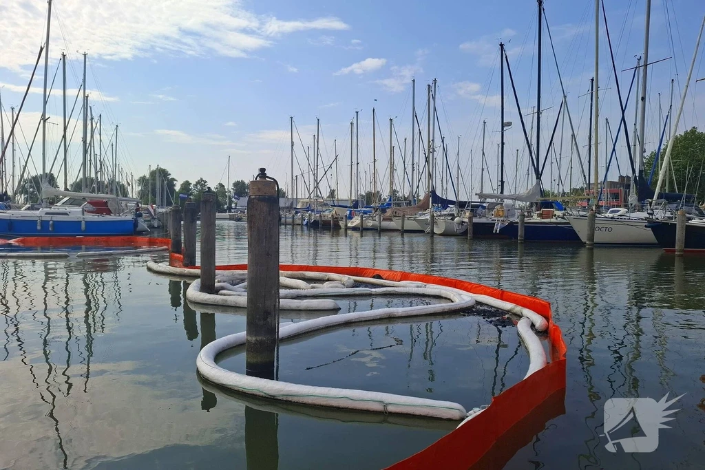 Visserseiland Nieuws Hoorn 