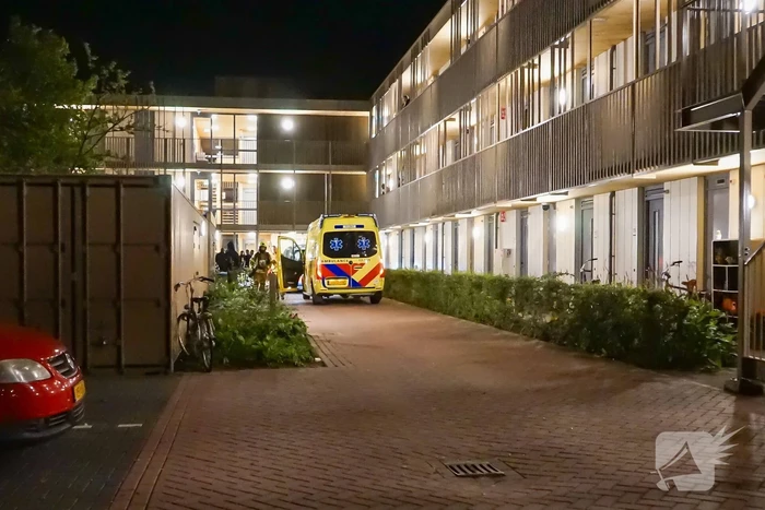nieuws kreekpad rotterdam