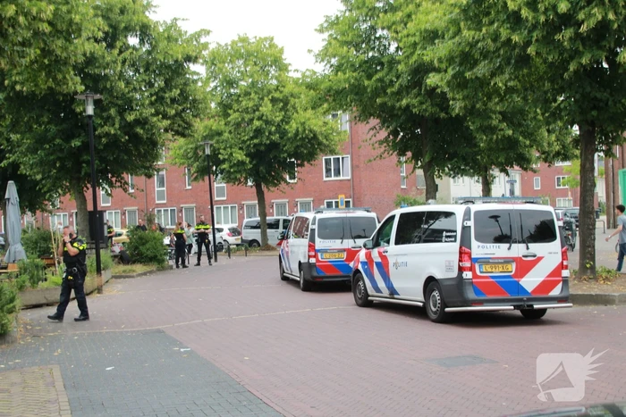 nieuws vogelplein dordrecht