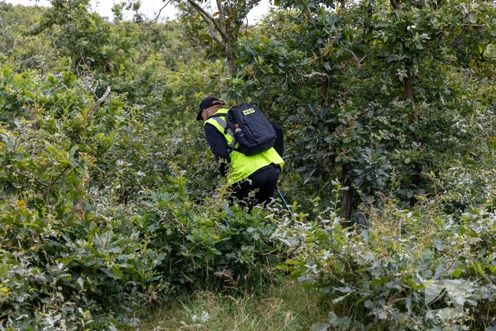 Duingebied uitgekamd door zoekteam in zoektocht naar vermiste man