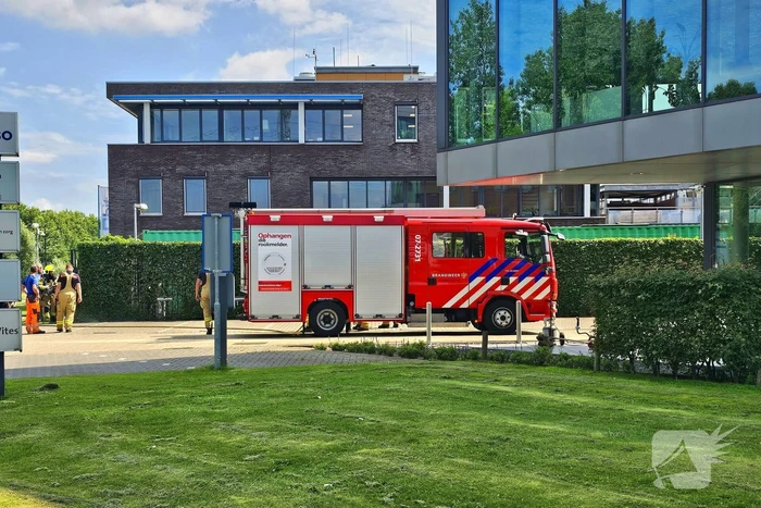 Haag vliegt in brand door onkruidverbrander