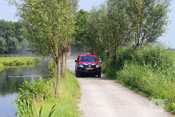 Brandweer ingezet voor koe te water