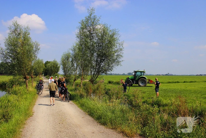 Brandweer ingezet voor koe te water