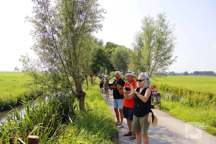 Brandweer ingezet voor koe te water