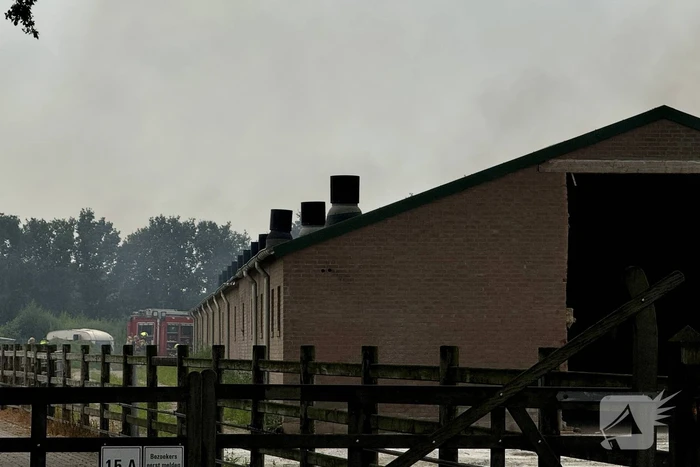 brand hoogstraat uden
