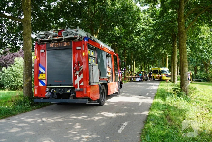 Inzittenden gewond bij botsing tegen boom