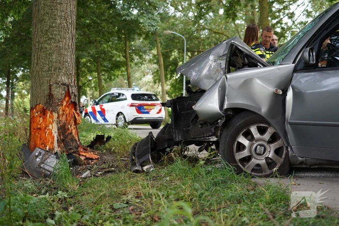 Inzittenden gewond bij botsing tegen boom