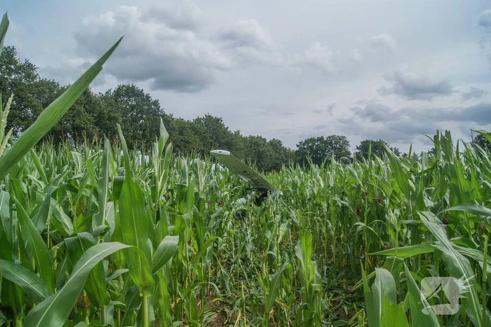 Lesvliegtuig landt in maisveld