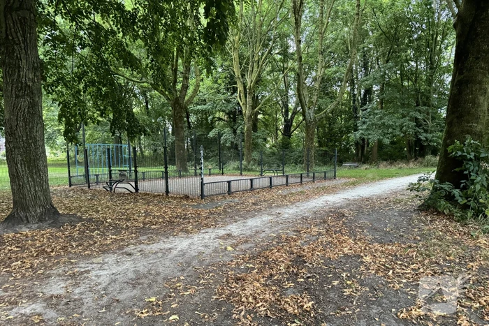 Politie zoekt getuigen na verkrachting in park