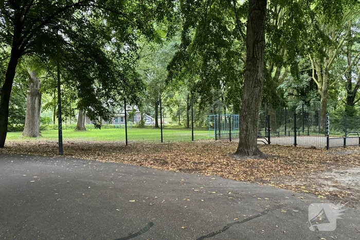 Politie zoekt getuigen na verkrachting in park
