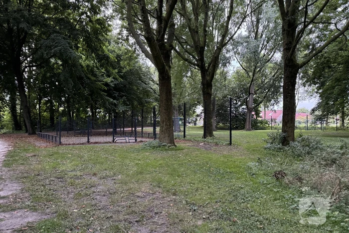 Politie zoekt getuigen na verkrachting in park