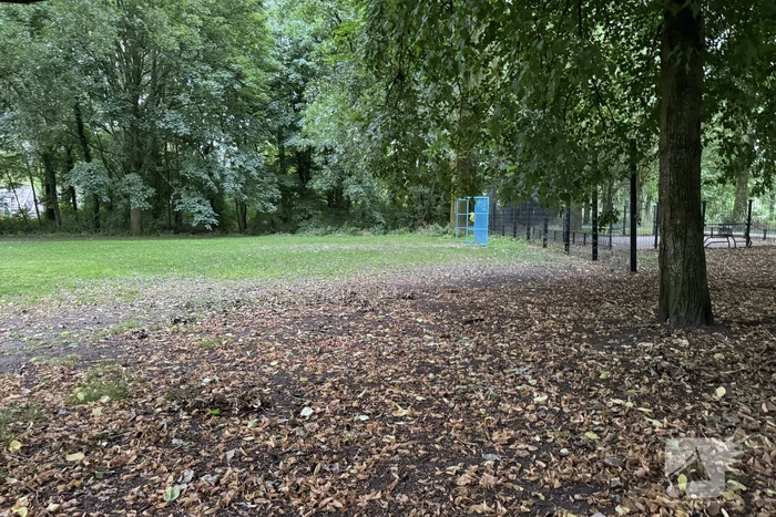 Politie zoekt getuigen na verkrachting in park