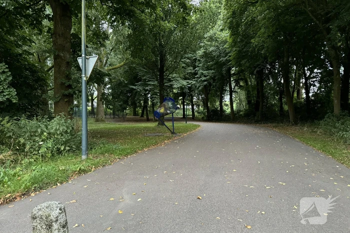 Politie zoekt getuigen na verkrachting in park