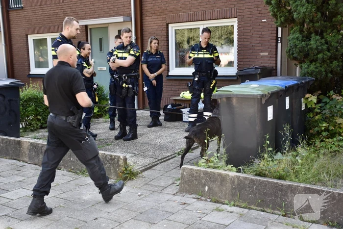 schietincident groenewoudseweg eindhoven